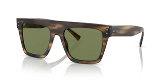 Giorgio Armani AR8177 54092A 52
