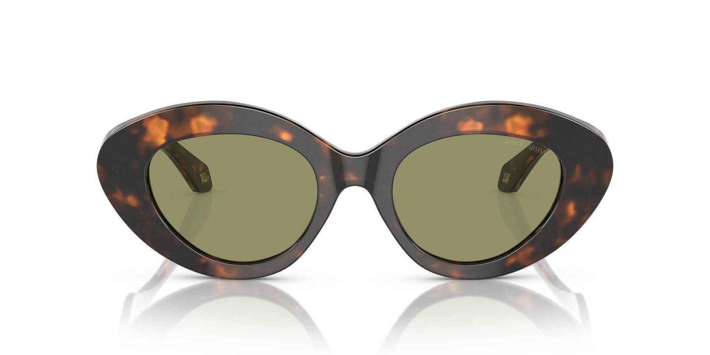 Giorgio Armani AR8188 599314 50