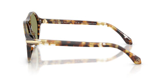 Giorgio Armani AR8236U 623214 55