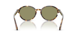 Giorgio Armani AR8237 623214 53