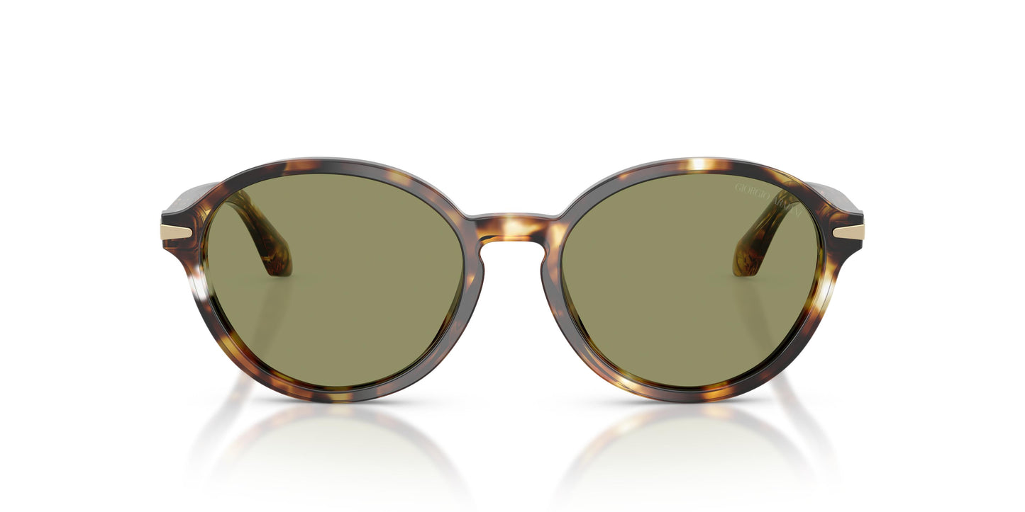 Giorgio Armani AR8237 623214 53