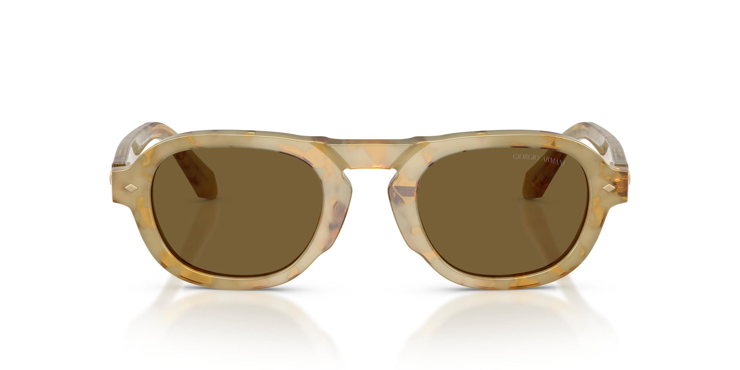 Giorgio Armani AR8244 630073 49