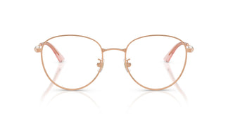 Jimmy Choo JC2013HD  3008 54