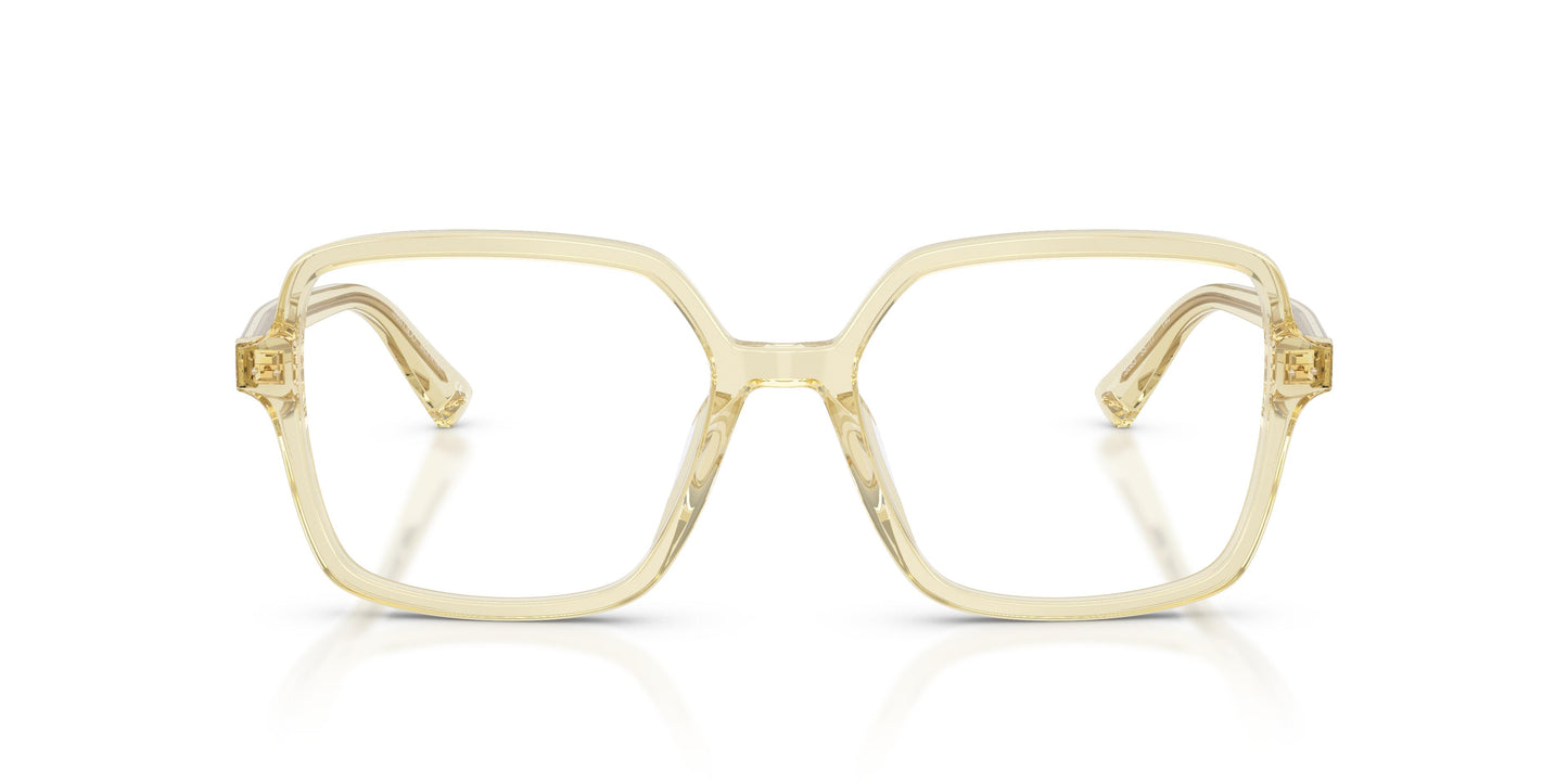 Jimmy Choo JC3046U 5083 55