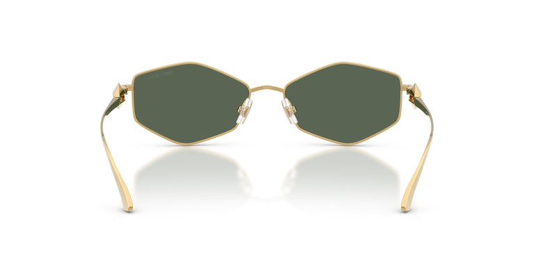 Jimmy Choo JC4017 302371 55