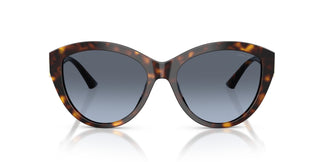 Jimmy Choo JC5007 50028F 55