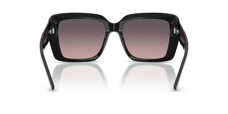 Jimmy Choo JC5042 500046 54