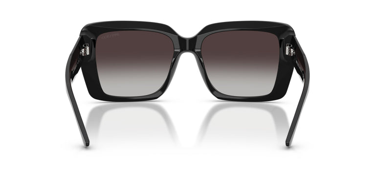 Jimmy Choo JC5042 50008G 54