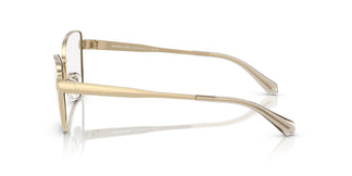 Michael Kors MK3085 PARIS 1014 54
