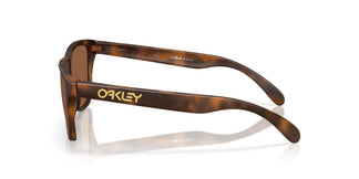 Oakley OO9508 FROGSKINS S 950803 53