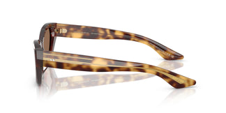 Oliver Peoples OV5582SU 1961C 100773 53