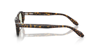 Oliver Peoples OV5588SU N.08 SUN 174121 49