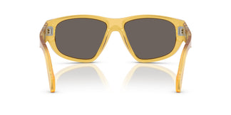 Persol PO0050S 204/B1 55