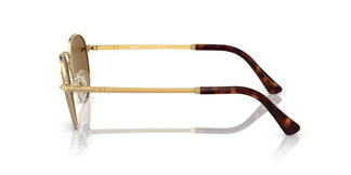 Persol PO2491S 114233 49