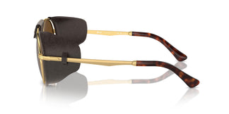 Persol PO2496SZ 114057 52