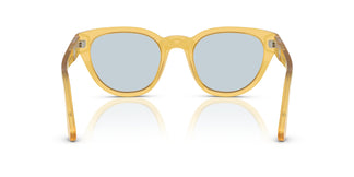 Persol PO3379S 204/56 54