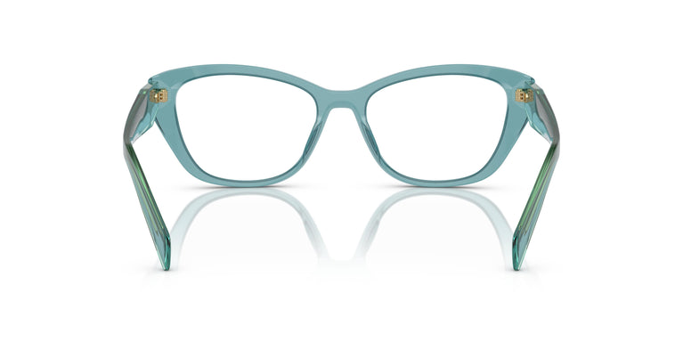 Prada PR 19WV 16J1O1 51