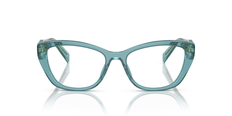 Prada PR 19WV 16J1O1 51