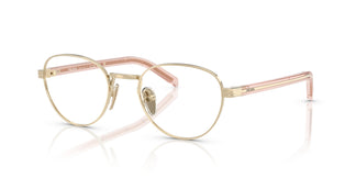 Prada PR B53V ACX1O1 49
