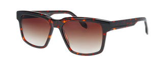 ProDesign GRANDD 5S 5534 59