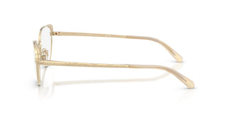 Ralph Lauren RL5131 9116 56