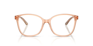 Ralph Lauren RL6222 6110 54