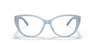 Ralph Lauren RL6223B 5743 53