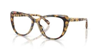 Ralph Lauren RL6232U 5004 52