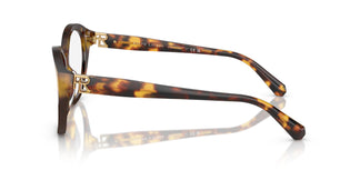 Ralph Lauren RL6246U 5134 53