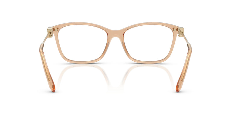 Ralph Lauren RL6247U 6205 53