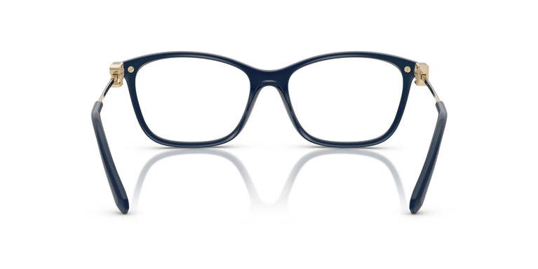 Ralph Lauren RL6247U 6215 55