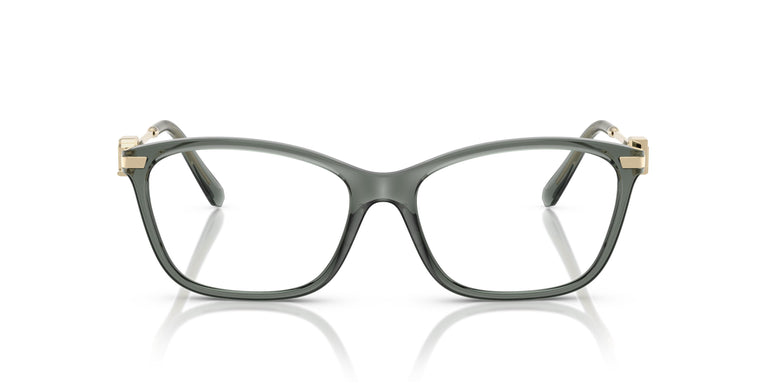 Ralph Lauren RL6247U 6216 55