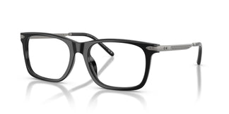 Ralph Lauren RL6253U 5001 53