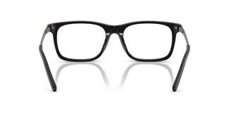 Ralph Lauren RL6253U 5001 53