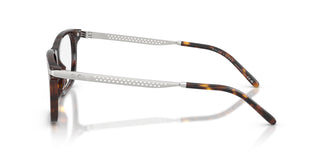 Ralph Lauren RL6253U 5003 53