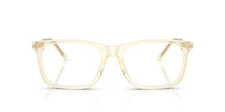 Ralph Lauren RL6253U 5034 53