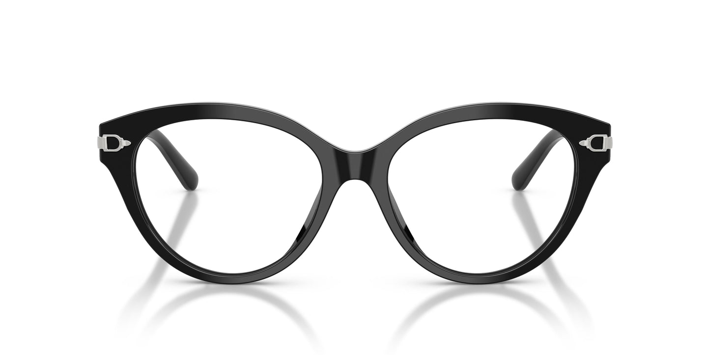 Ralph Lauren RL6256U 5001 53