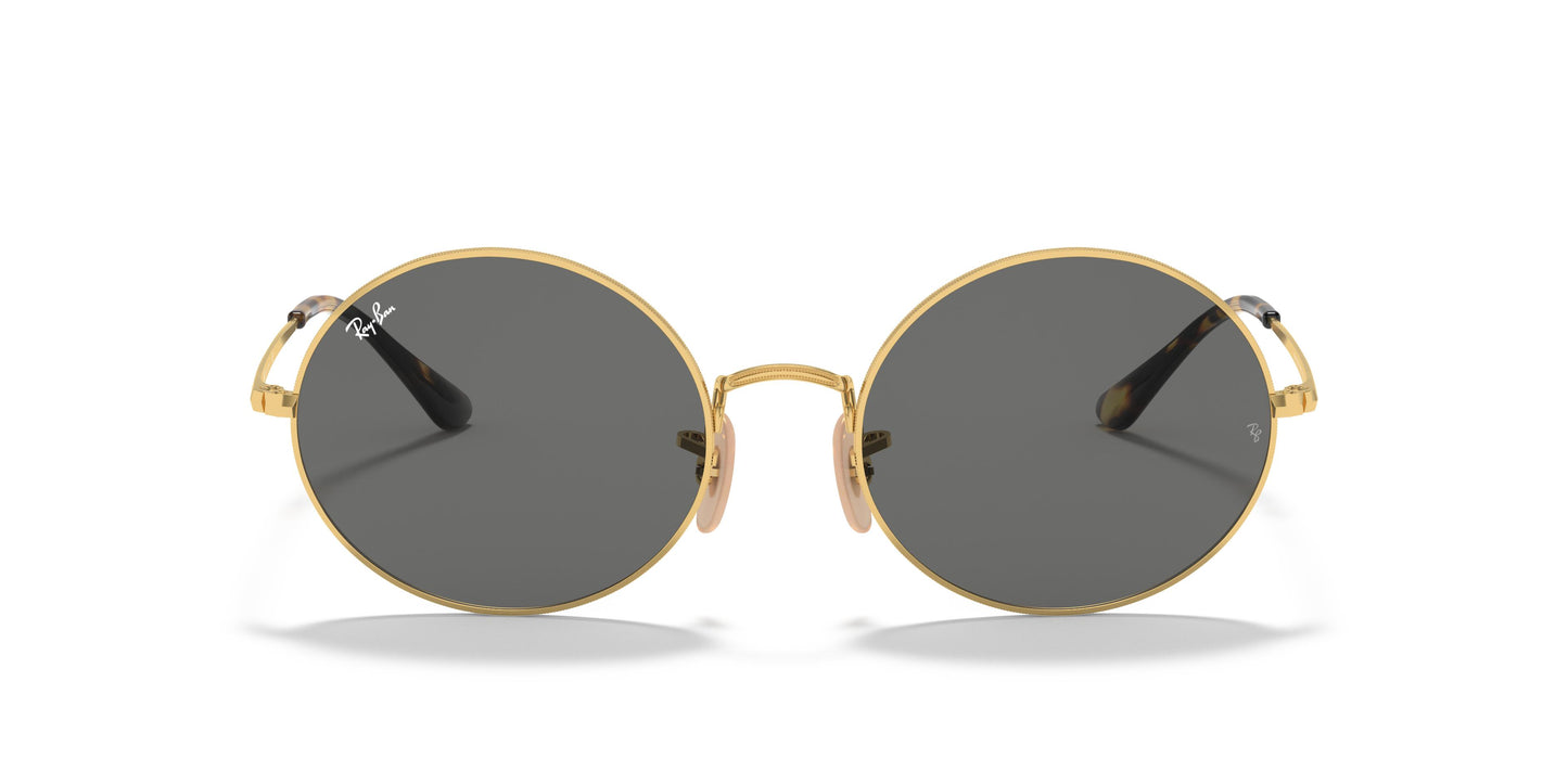 Ray-Ban RB1970 OVAL 9150B1 54