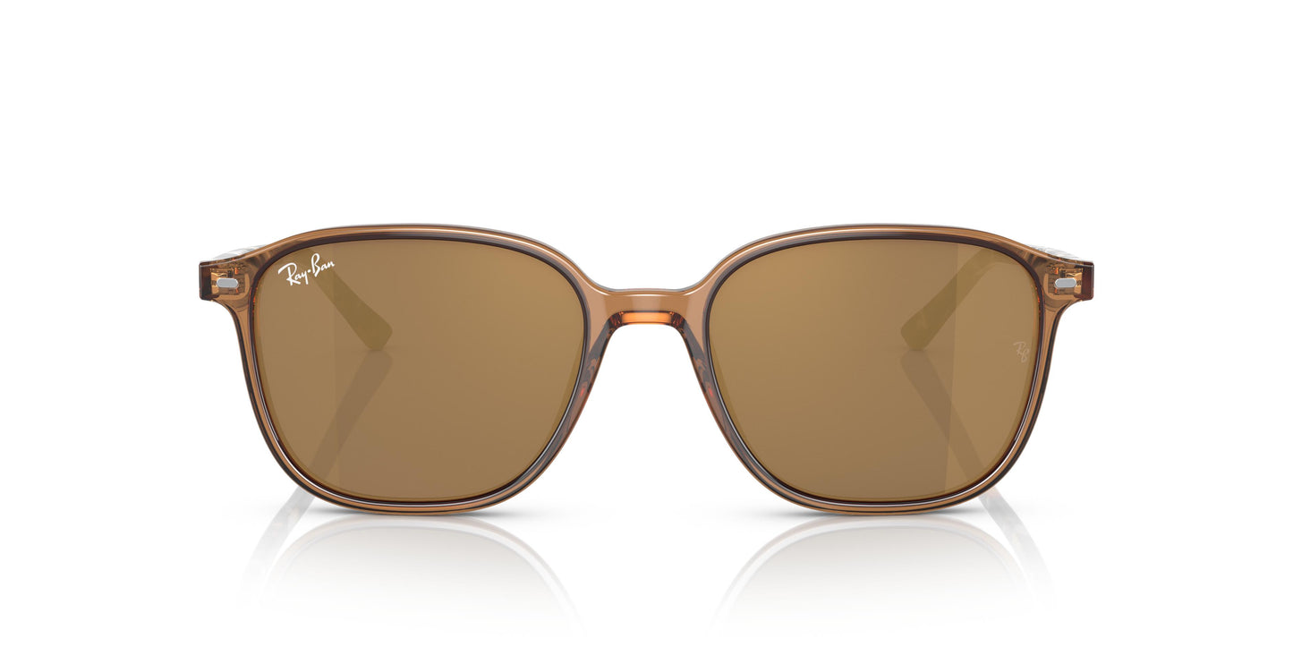 Ray-Ban RB2193 LEONARD 663693 53