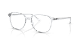 Ray-Ban RB2193 LEONARD 912/GH 51