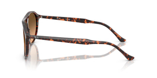 Ray-Ban RB2215 14293B 56