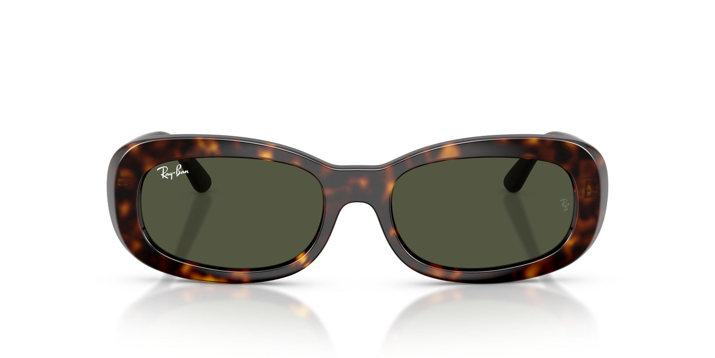 Ray-Ban RB2221 902/31 53