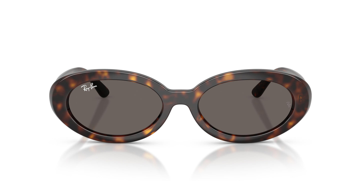 Ray-Ban RB2223 902/B1 54