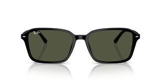 Ray-Ban RB2231 RAIMOND 901/31 56