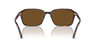 Ray-Ban RB2231 RAIMOND 902/57 56