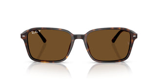 Ray-Ban RB2231 RAIMOND 902/57 56