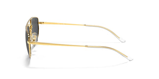 Ray-Ban RB3668 905487 55