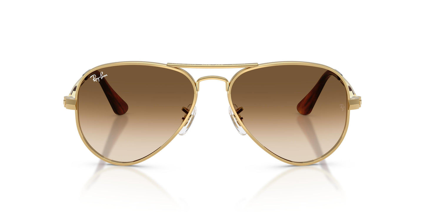 Ray-Ban RB3925 AVIATOR MAX 001/51 58