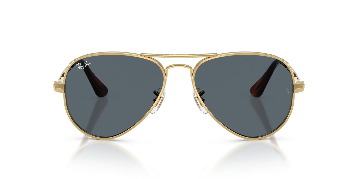 Ray-Ban RB3925 AVIATOR MAX 001/R5 58