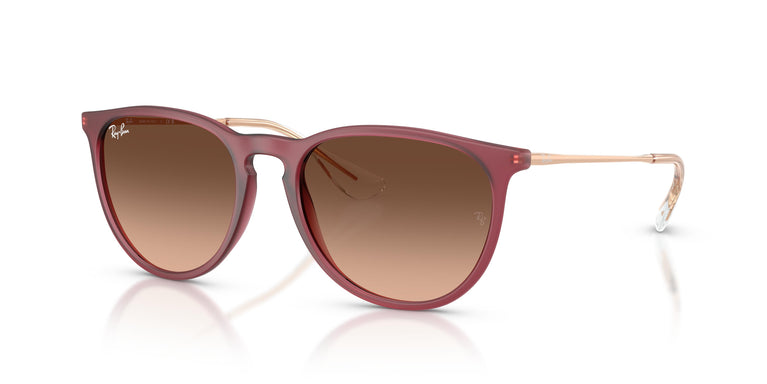 Ray-Ban RB4171 ERIKA 6815A5 54